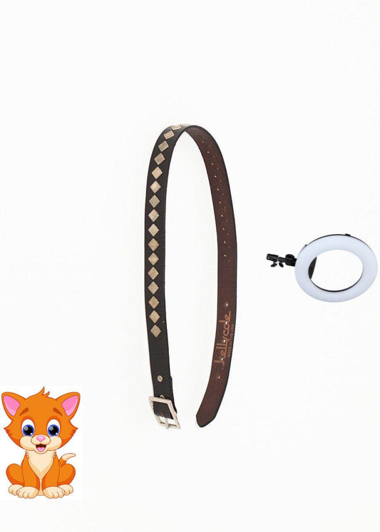 Harlequin Belt in Brown