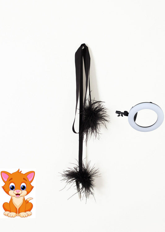 Feather Sash