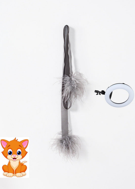 Feather Sash