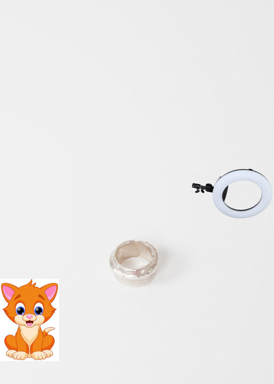 Ring 56 in Silver