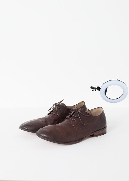 Marsacco Lace Up in Bark