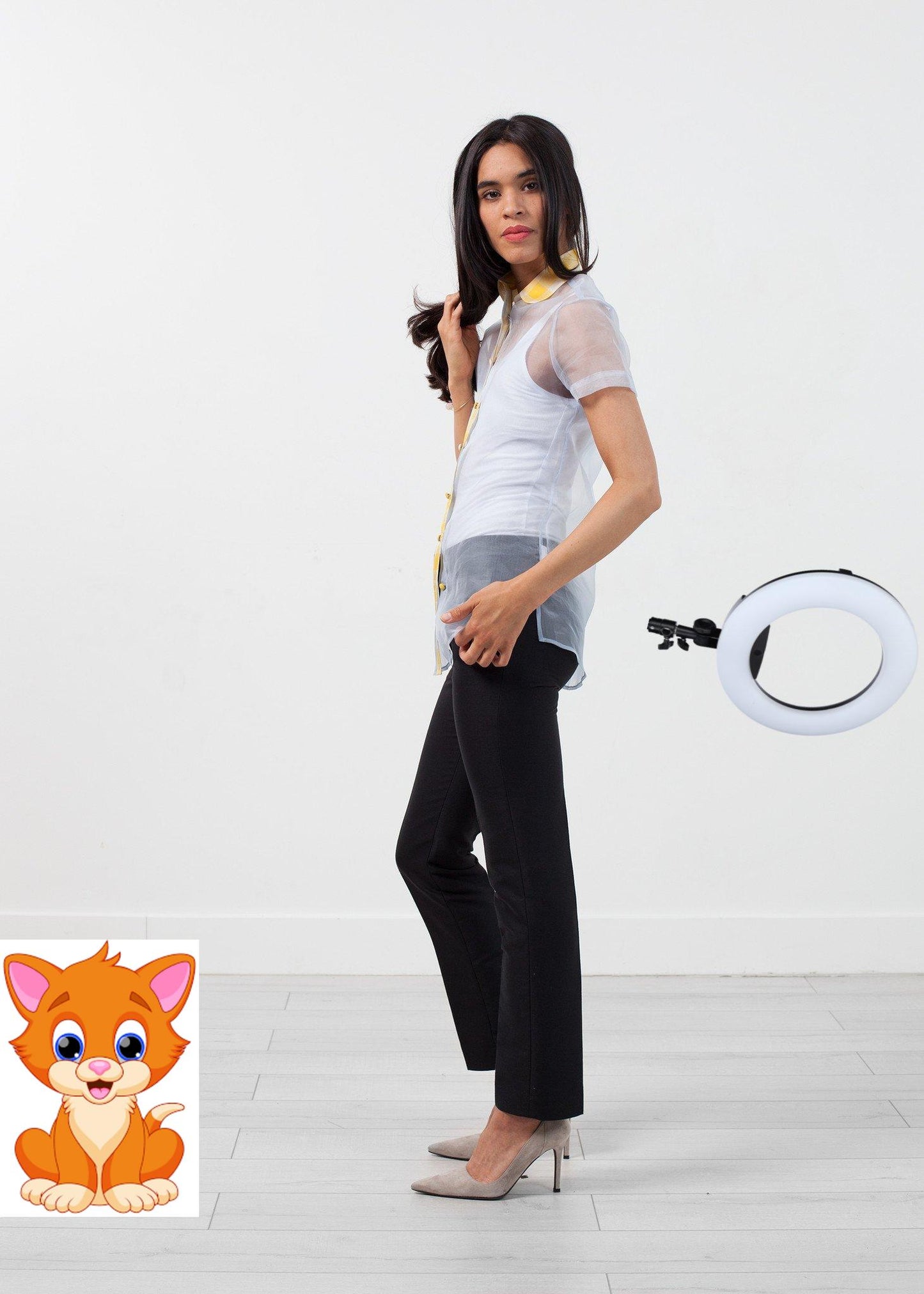 Sheer Button-Up Blouse in Pale Blue