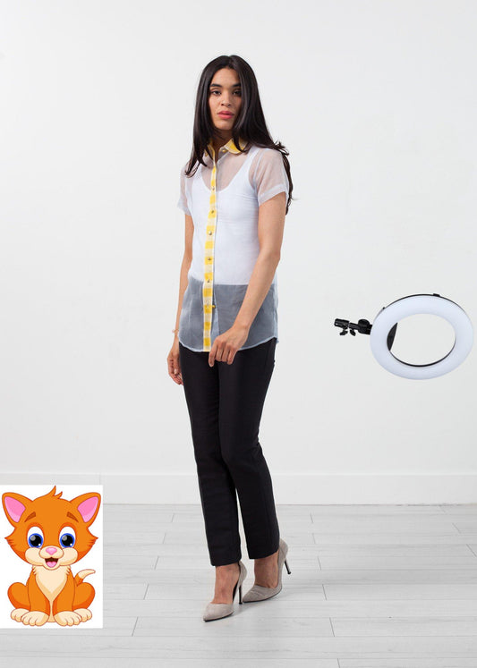 Sheer Button-Up Blouse in Pale Blue