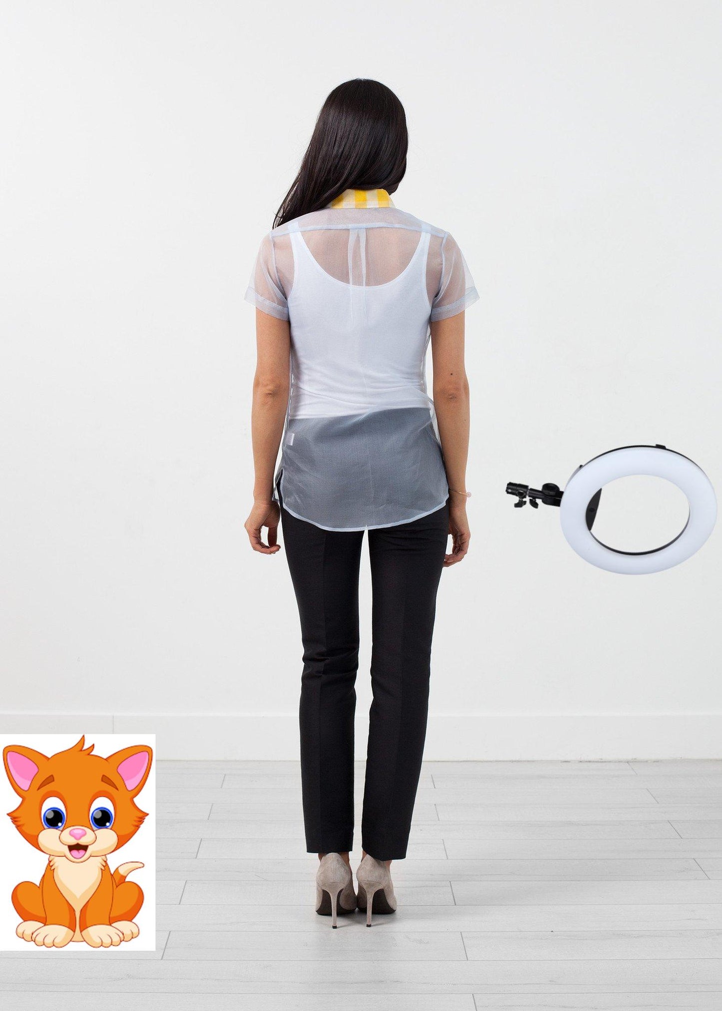 Sheer Button-Up Blouse in Pale Blue