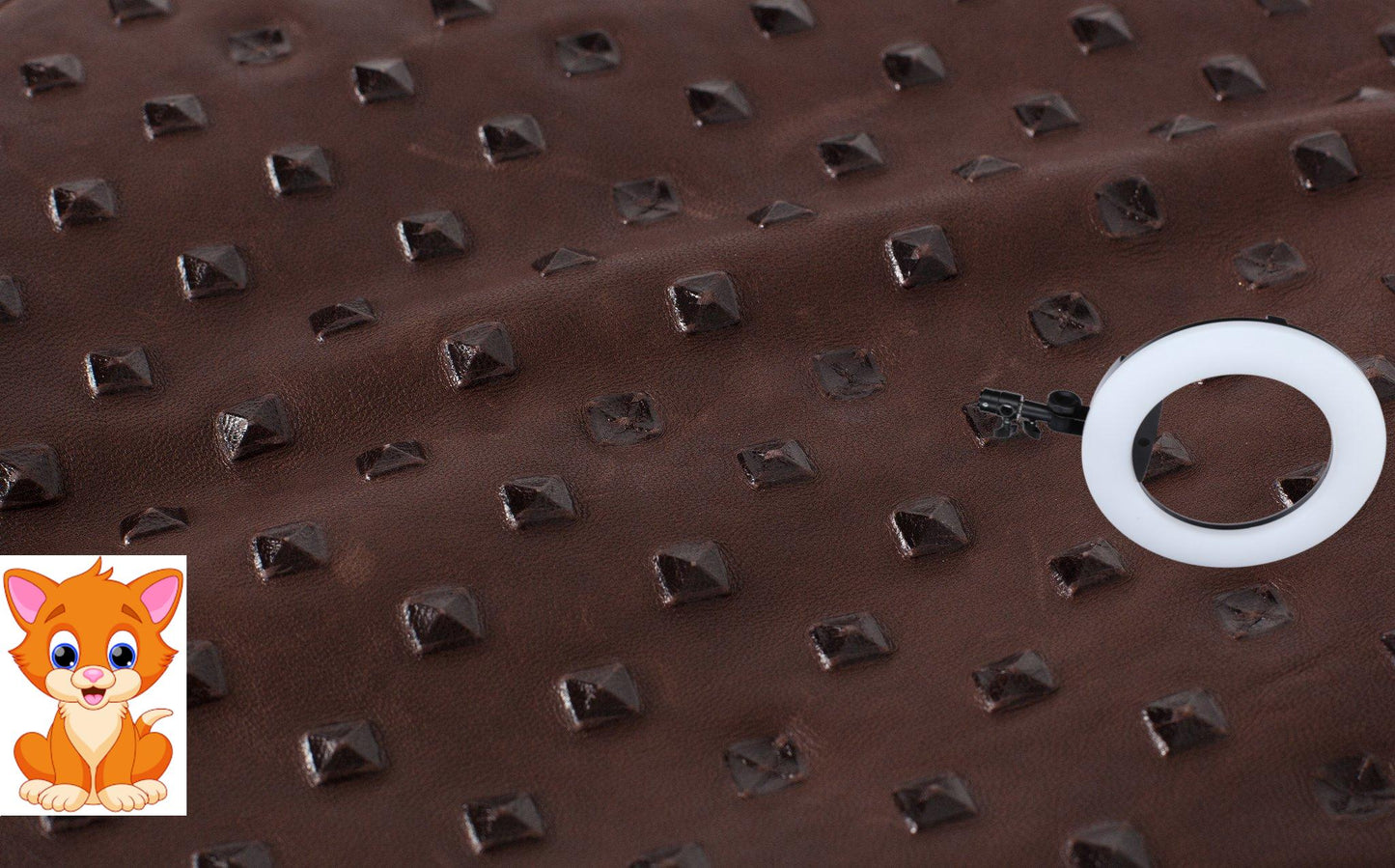 Roxanne Leather Clutch in Brown