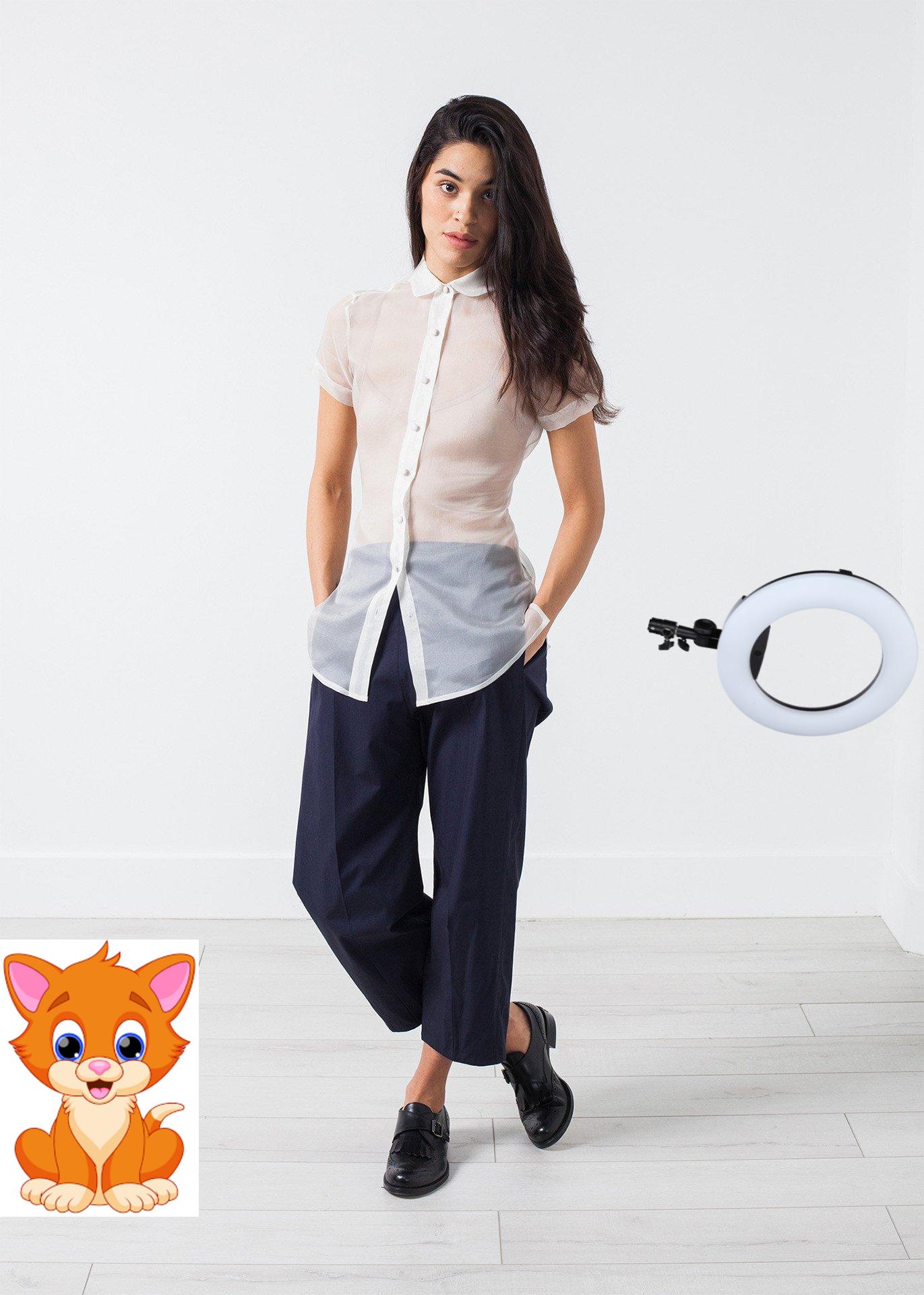 Sheer Button-Up Blouse in Ivory