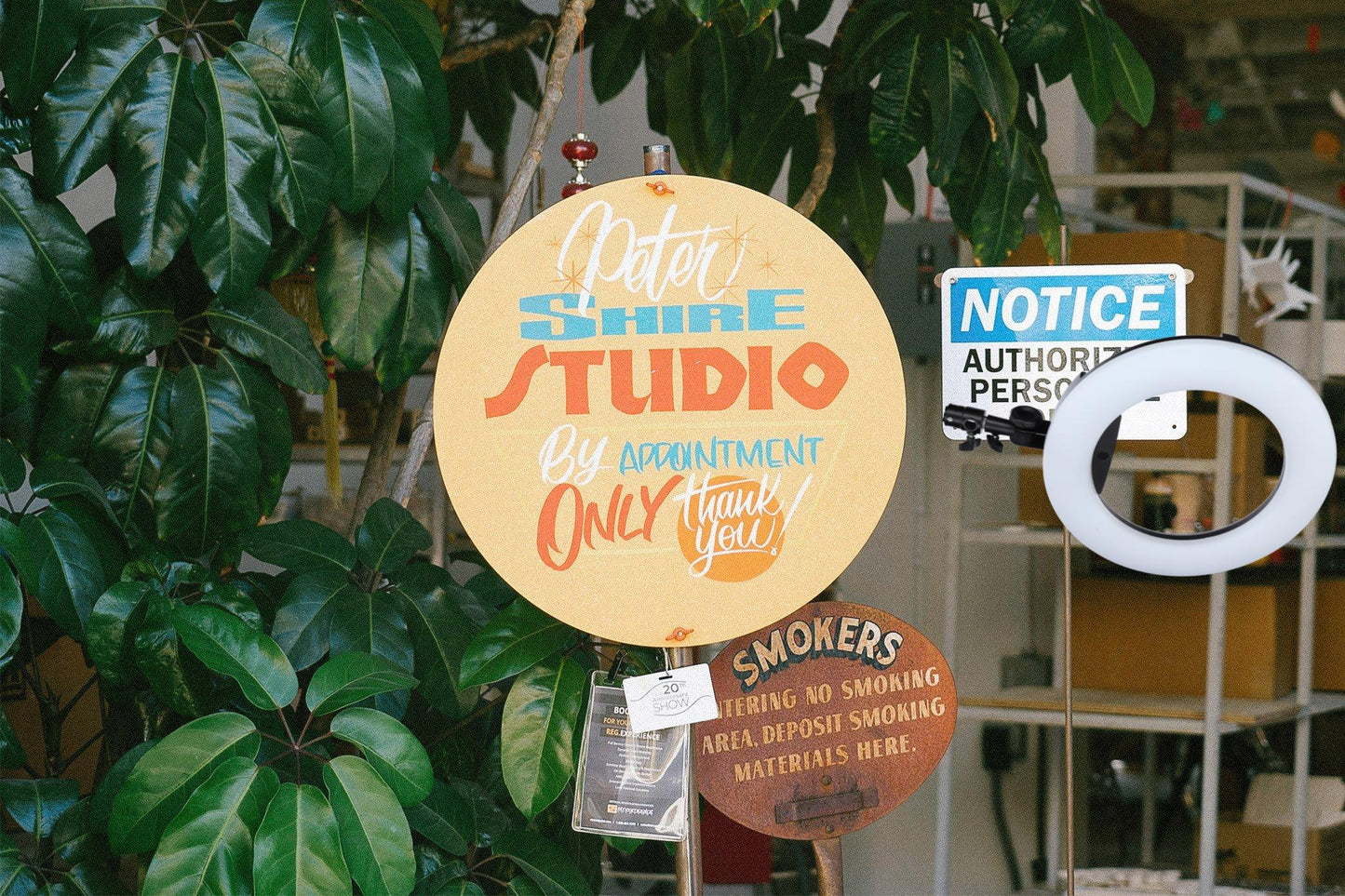 Artist Series: Peter Shire