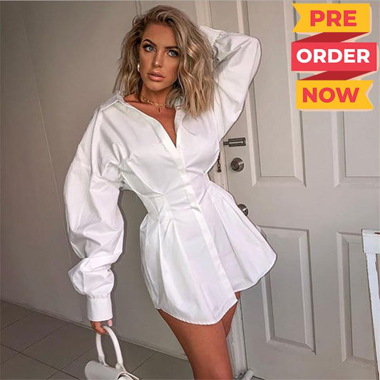 2019 autumn new Fashion Women Blouse Shirt Dress Casual Long Sleeve Lapel Blouse Tops Office Lady Elegant Shirts Female Blusas