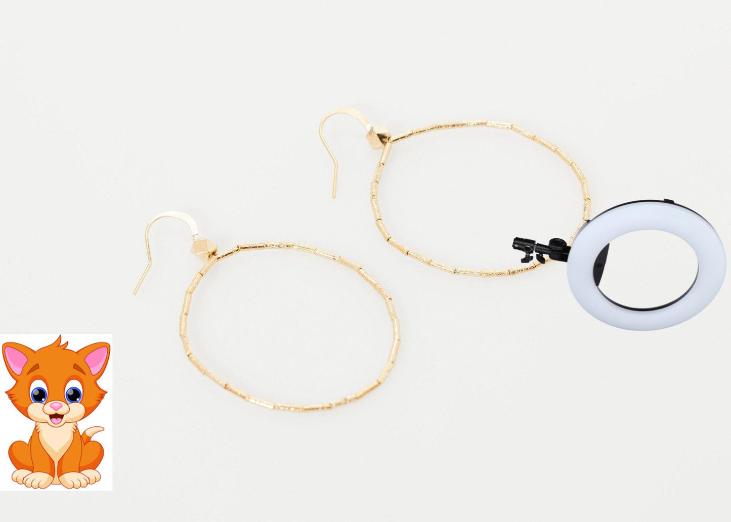 Roberta Hoop Earrings